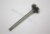 AUTOMEGA 301090611074 Exhaust Valve